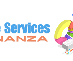 home services bonanza